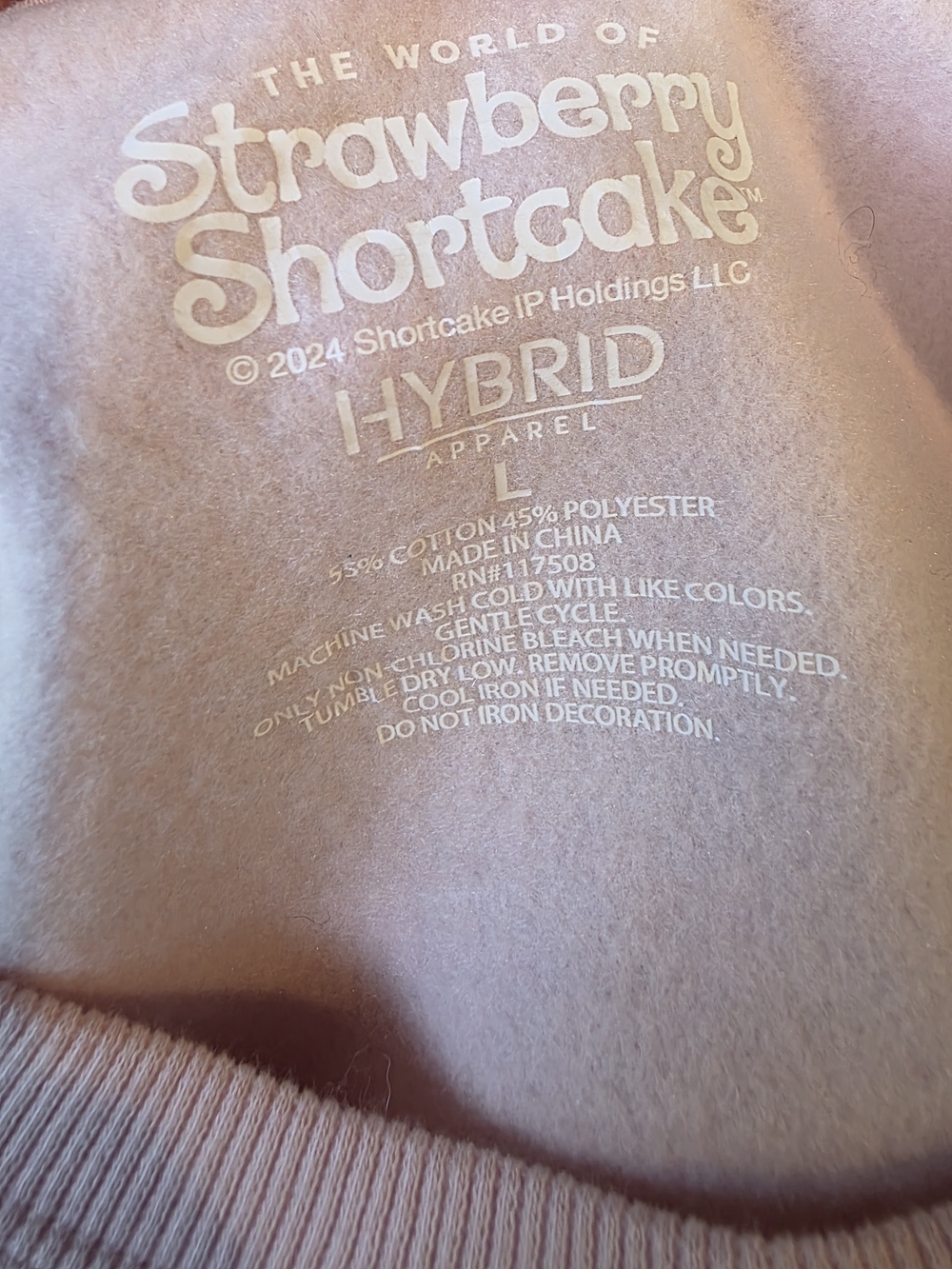 Pink Strawberry Shortcake Graphic Crewneck Sweater - Sweeter Every Day - Picture 3 of 4